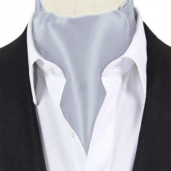 Exklusives Ascot-Halstuch für Herren - Silber 